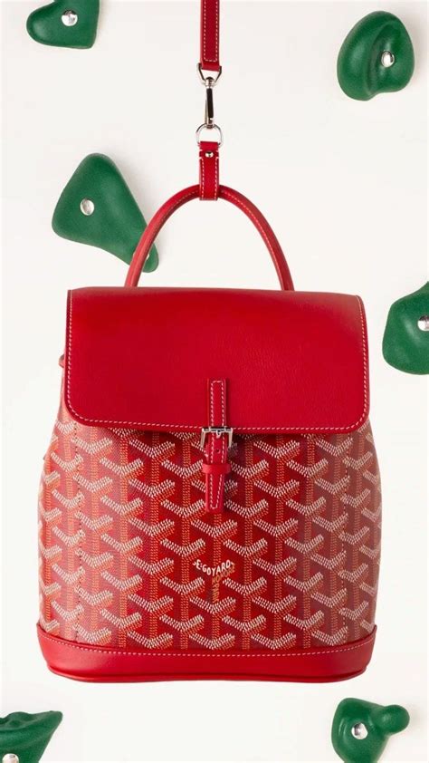 maison goyard alpin mini bag.